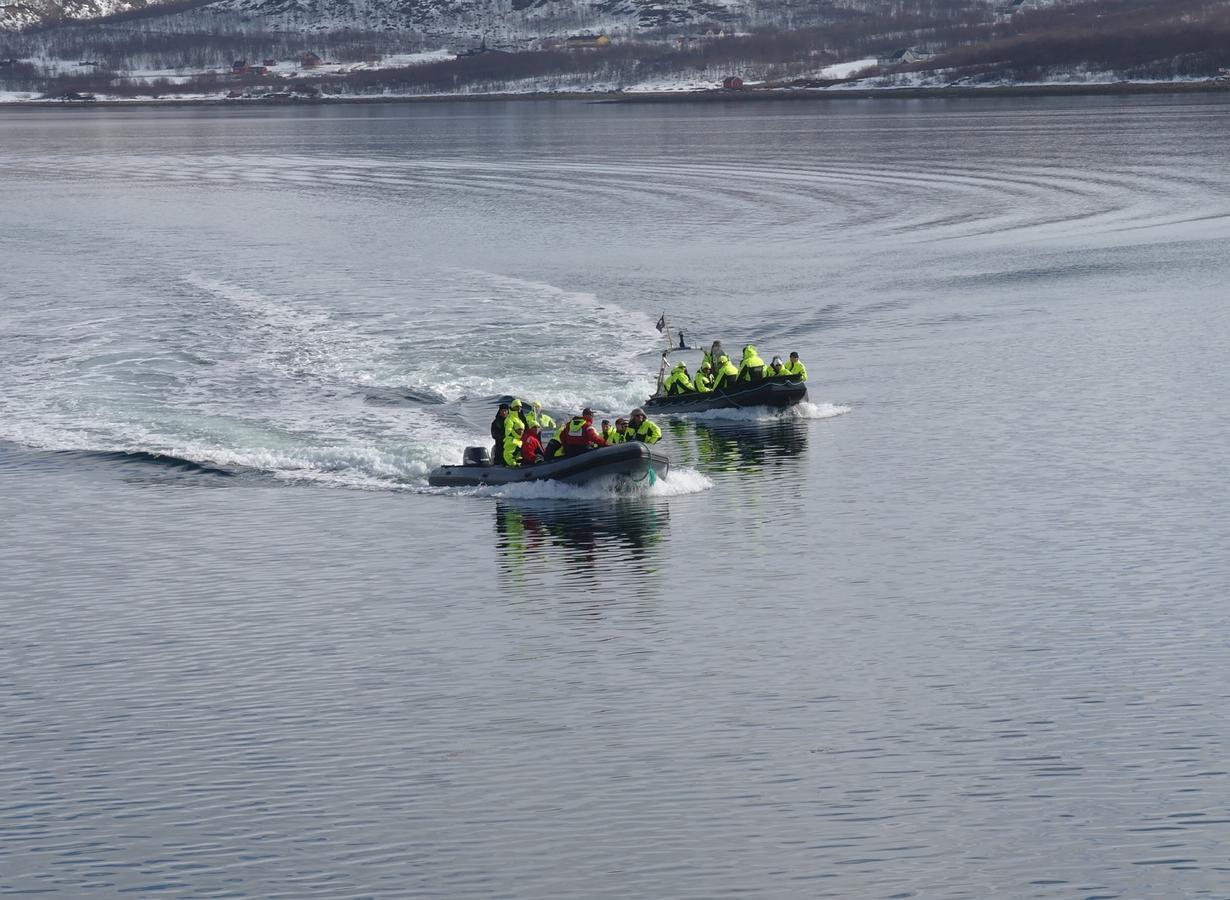 Jarfjord Arctic Aurora Lodge Karpbukt エクステリア 写真