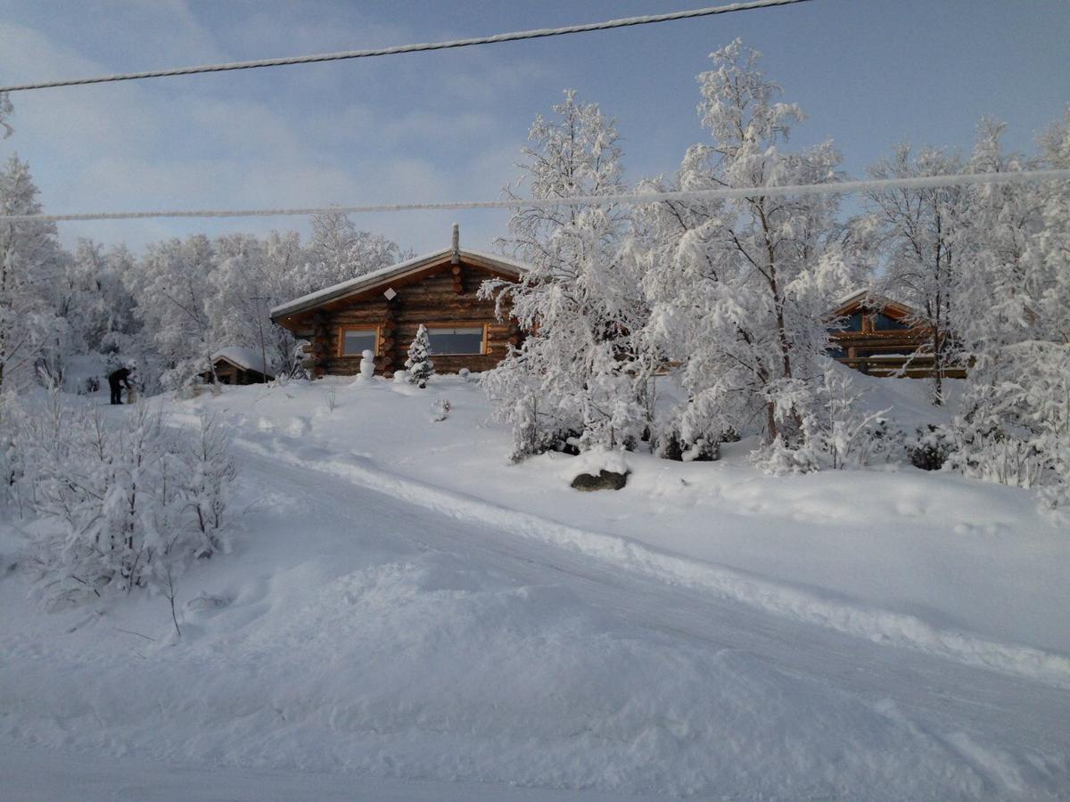 Jarfjord Arctic Aurora Lodge Karpbukt エクステリア 写真